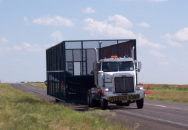 /i//Hopper_18_Wheeler_web1.jpg
