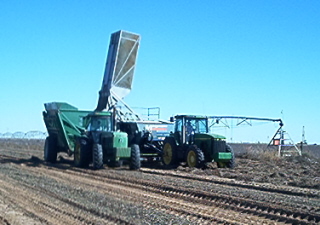 Custom Harvesting